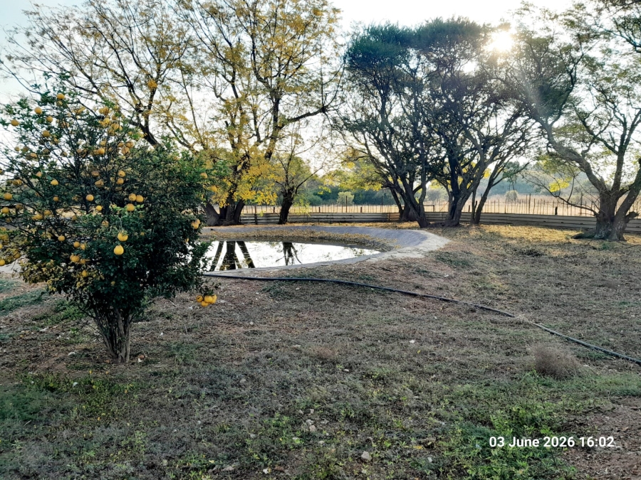 3 Bedroom Property for Sale in Pretoria North Gauteng