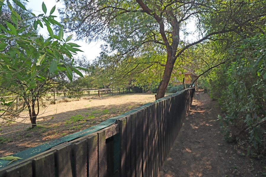 3 Bedroom Property for Sale in Laezonia Gauteng