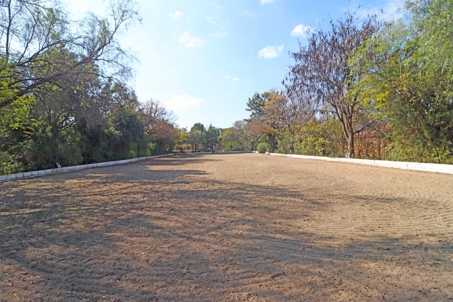 3 Bedroom Property for Sale in Laezonia Gauteng