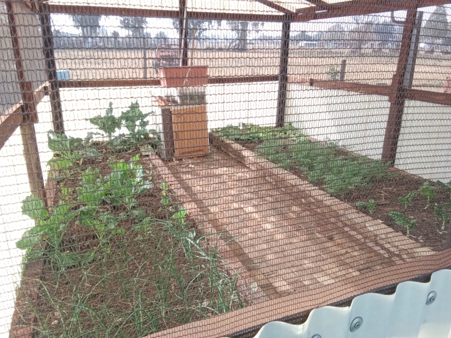 10 Bedroom Property for Sale in Hallgate Gauteng