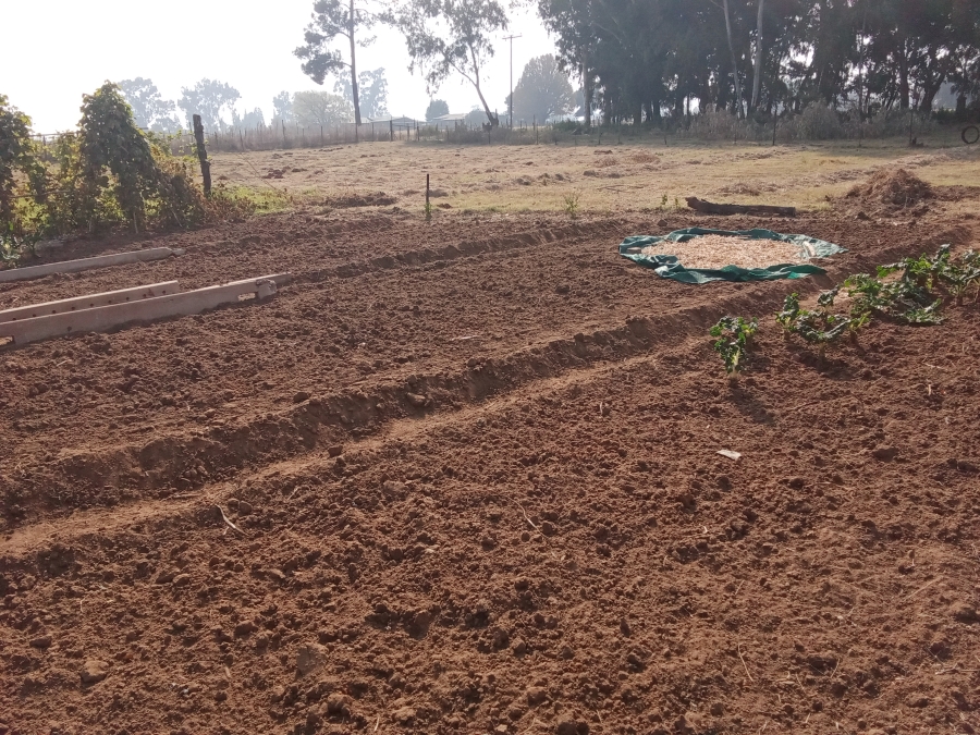 10 Bedroom Property for Sale in Hallgate Gauteng