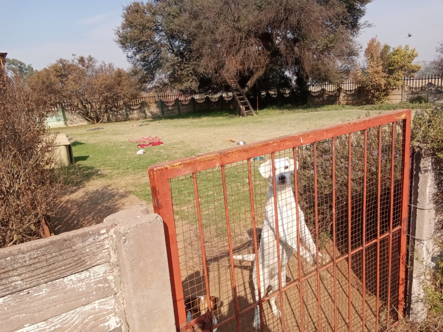 10 Bedroom Property for Sale in Hallgate Gauteng