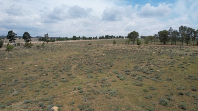 0 Bedroom Property for Sale in Elandsfontein AH Gauteng