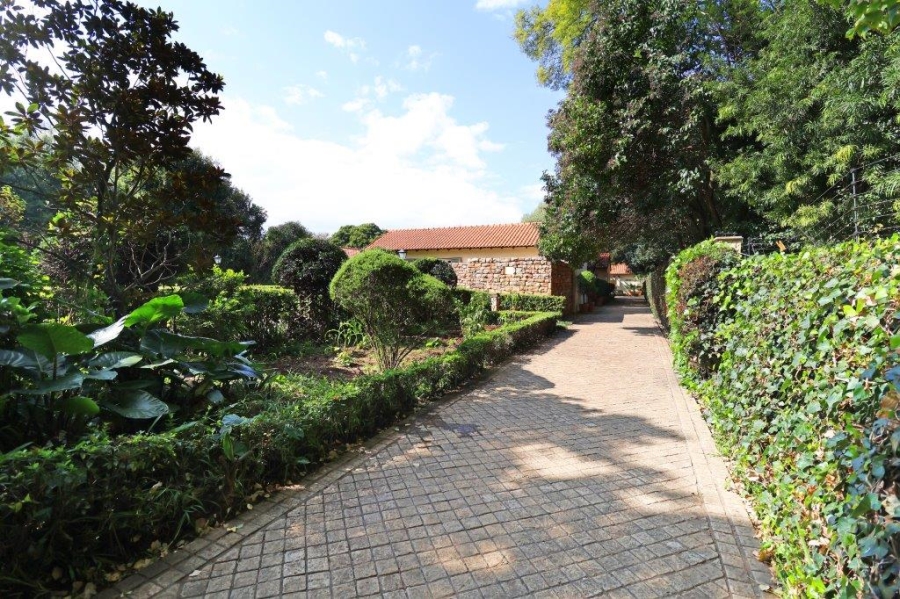 To Let 4 Bedroom Property for Rent in Saxonwold Gauteng