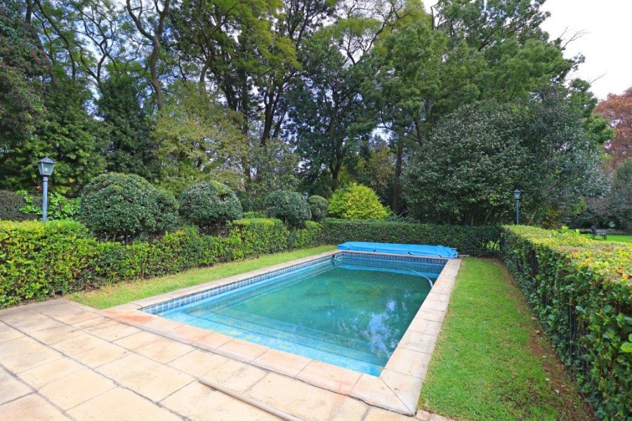 To Let 4 Bedroom Property for Rent in Saxonwold Gauteng