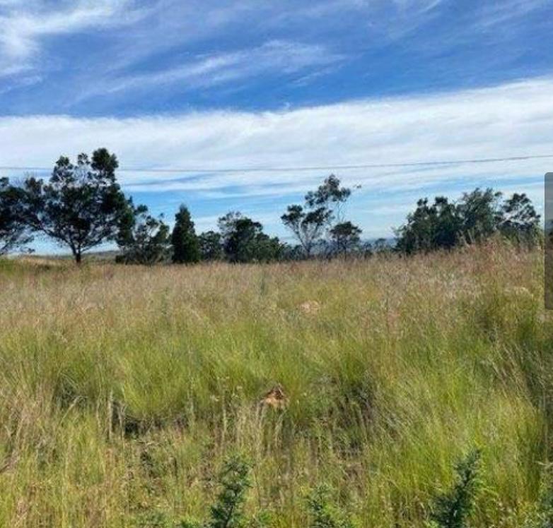 0 Bedroom Property for Sale in Rangeview Gauteng