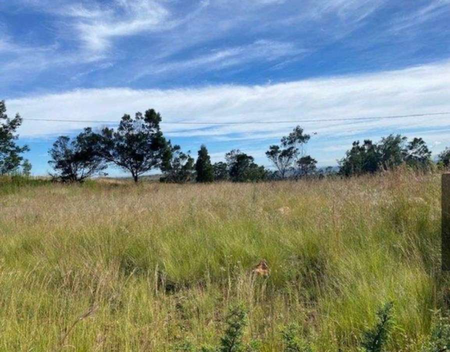 0 Bedroom Property for Sale in Rangeview Gauteng