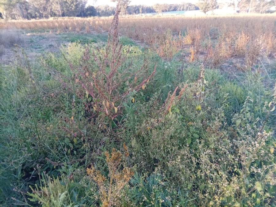 0 Bedroom Property for Sale in Walker Fruit Farms Gauteng