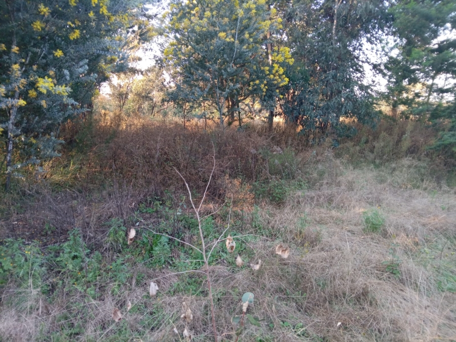 0 Bedroom Property for Sale in Walker Fruit Farms Gauteng
