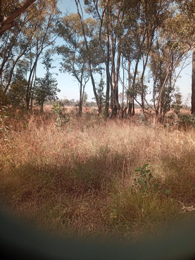 0 Bedroom Property for Sale in Walker Fruit Farms Gauteng