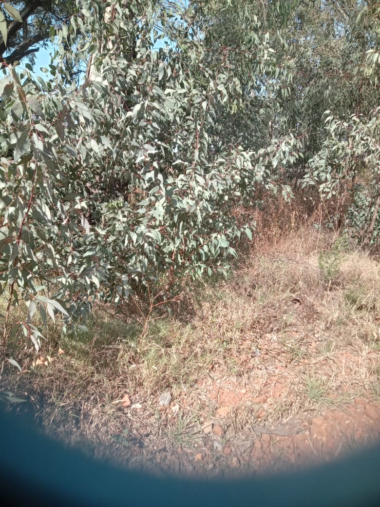 0 Bedroom Property for Sale in Walker Fruit Farms Gauteng