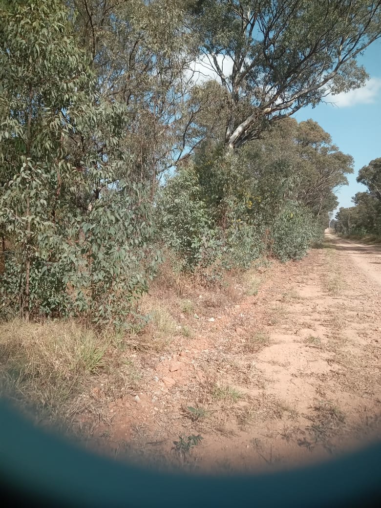 0 Bedroom Property for Sale in Walker Fruit Farms Gauteng