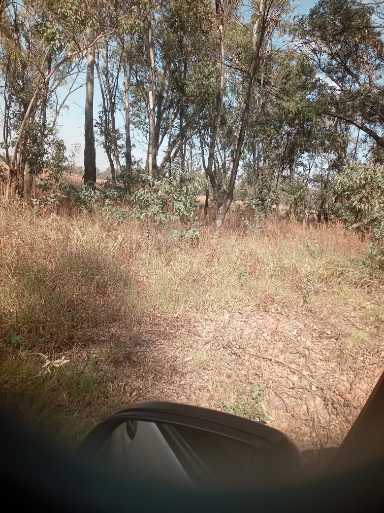 0 Bedroom Property for Sale in Walker Fruit Farms Gauteng