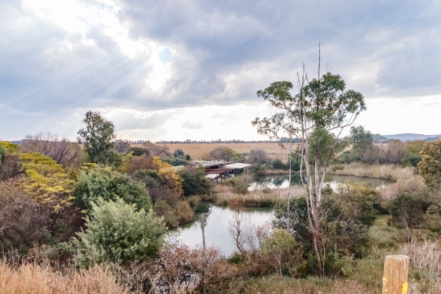 4 Bedroom Property for Sale in Letamo Game Farm Gauteng