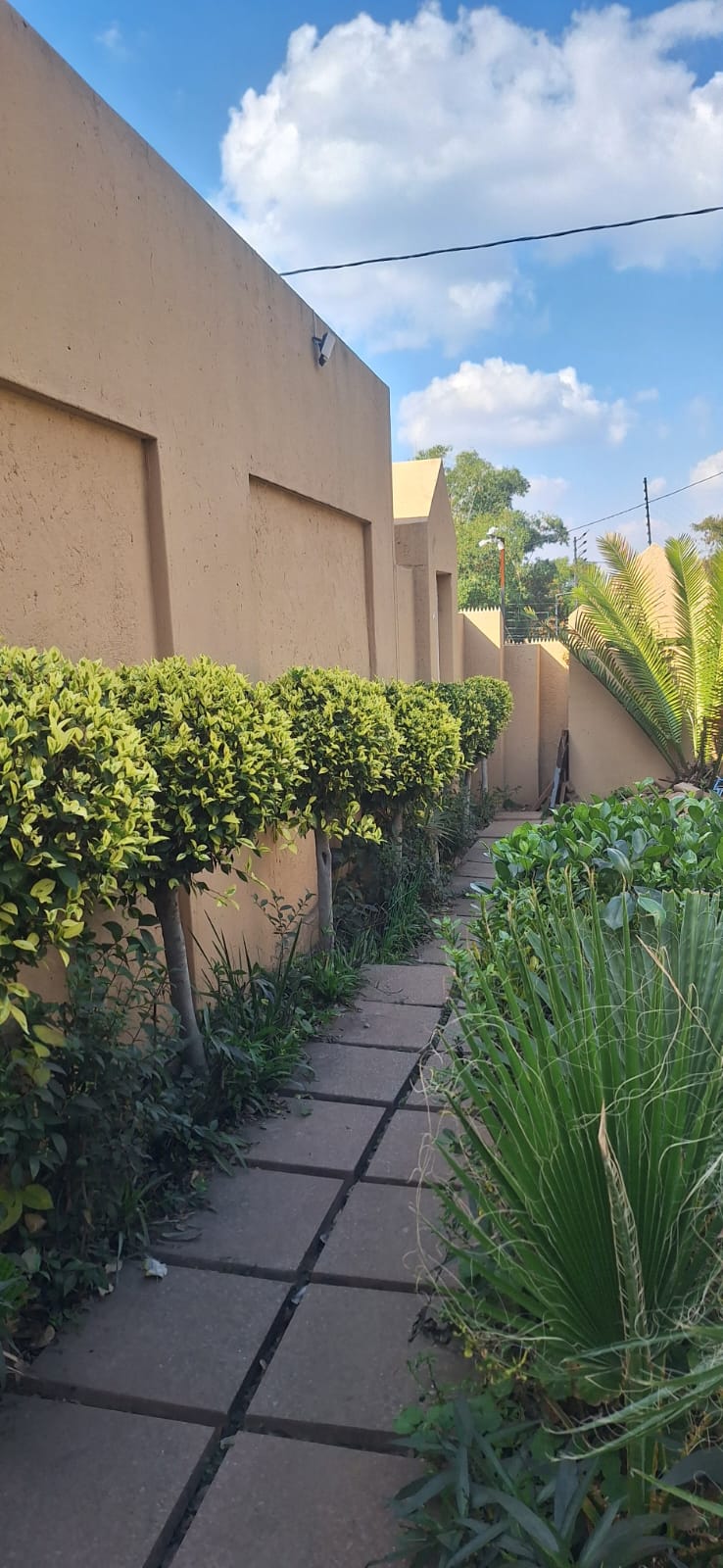 To Let 3 Bedroom Property for Rent in Menlo Park Gauteng