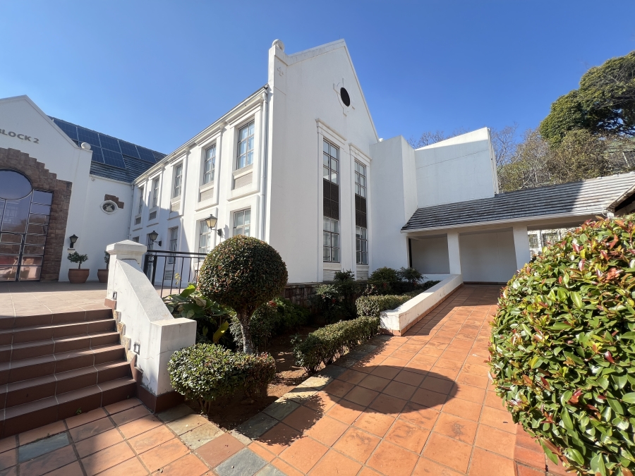 To Let Commercial Property for Rent in Parktown Gauteng