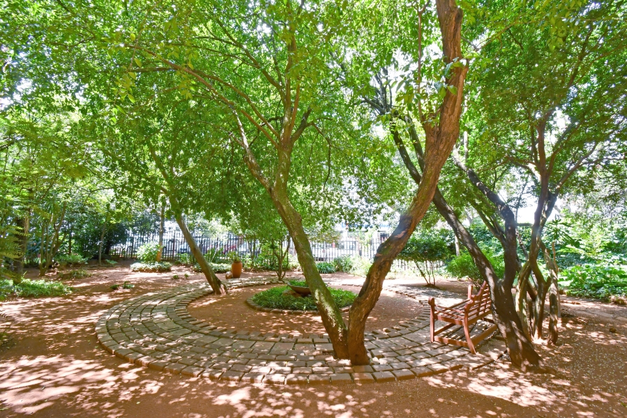 3 Bedroom Property for Sale in Parktown Gauteng