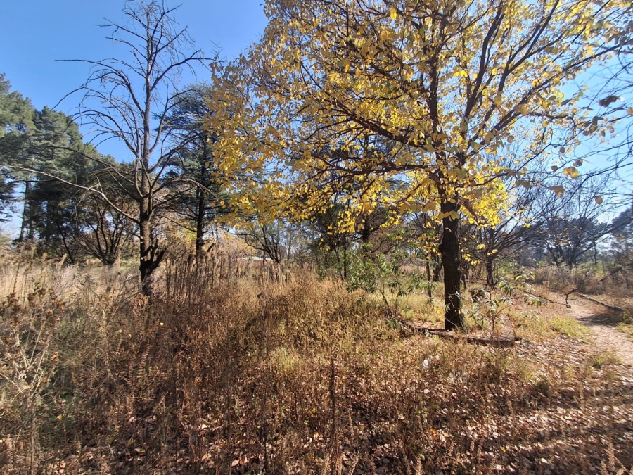 0 Bedroom Property for Sale in Unitas Park Gauteng