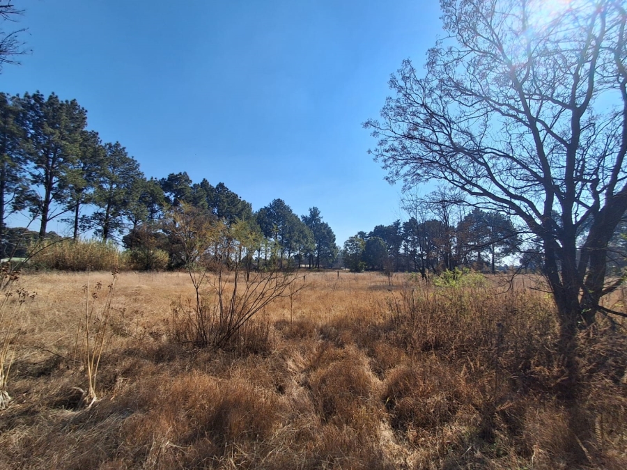 0 Bedroom Property for Sale in Unitas Park Gauteng