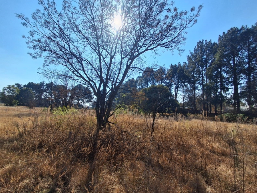 0 Bedroom Property for Sale in Unitas Park Gauteng