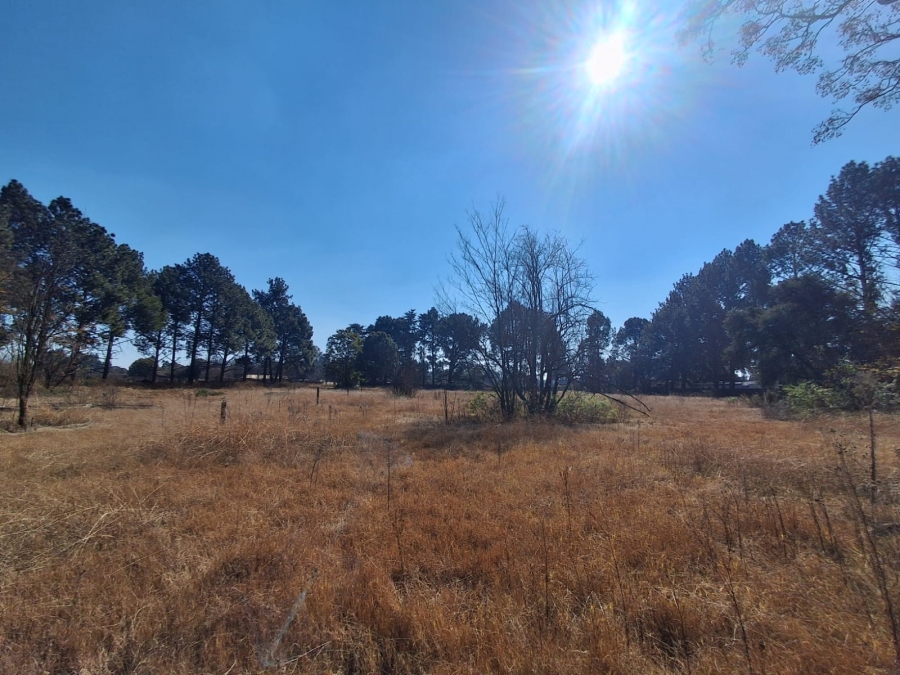 0 Bedroom Property for Sale in Unitas Park Gauteng