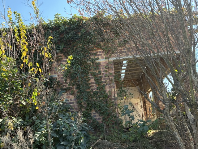 0 Bedroom Property for Sale in Edenvale Central Gauteng