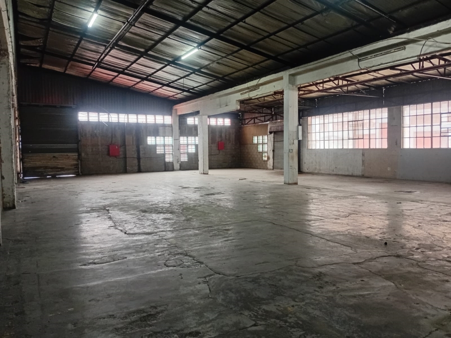 To Let Commercial Property for Rent in Heriotdale Gauteng