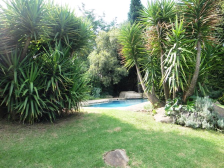 To Let Commercial Property for Rent in Rivonia Gauteng