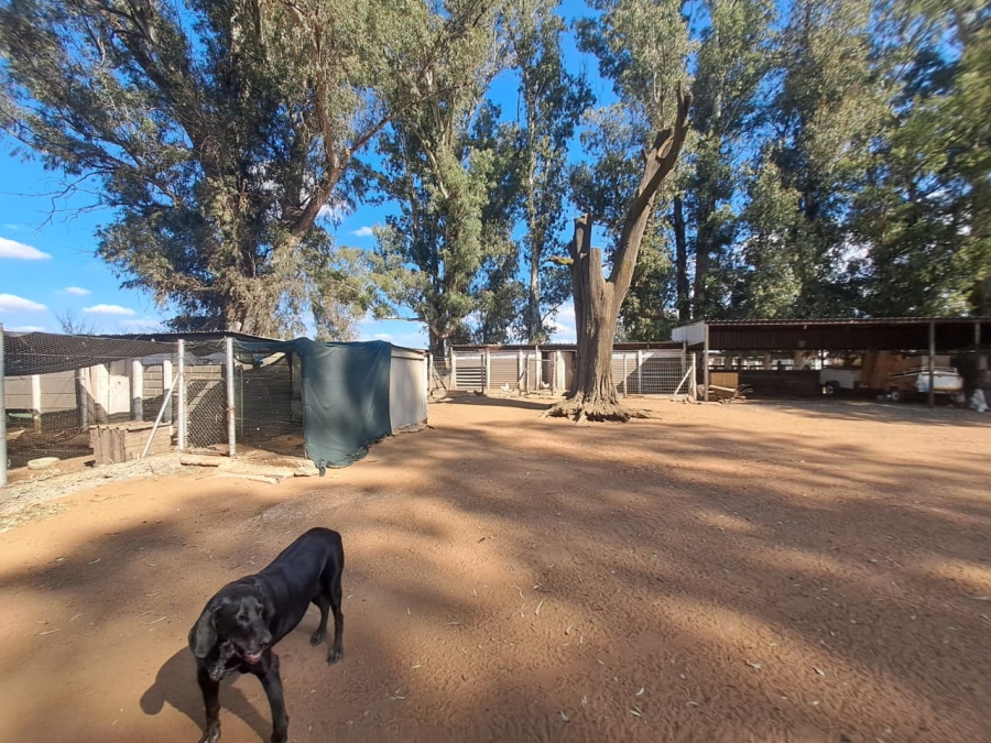 5 Bedroom Property for Sale in Elandsfontein AH Gauteng