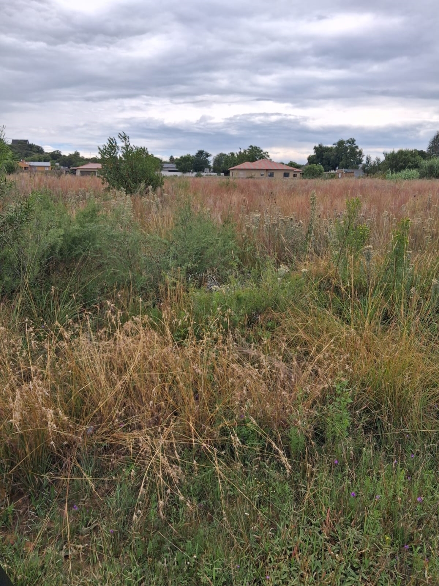 0 Bedroom Property for Sale in Vaaloewer Gauteng
