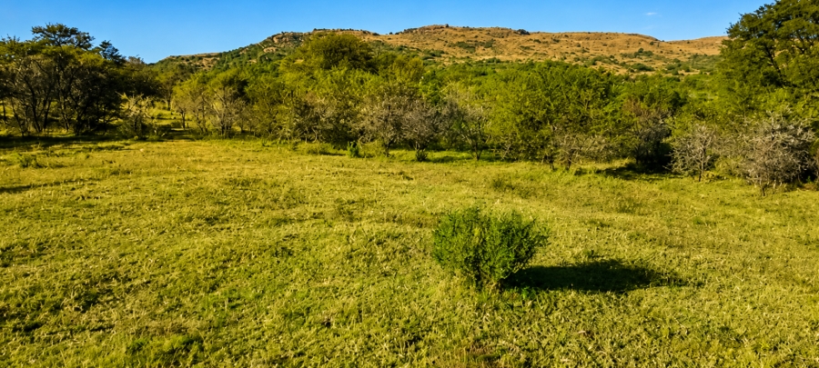 0 Bedroom Property for Sale in Blesboklaagte Gauteng