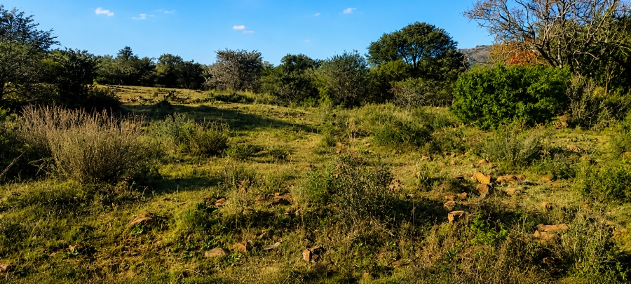 0 Bedroom Property for Sale in Blesboklaagte Gauteng