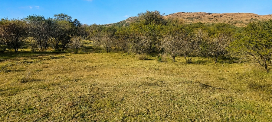 0 Bedroom Property for Sale in Blesboklaagte Gauteng