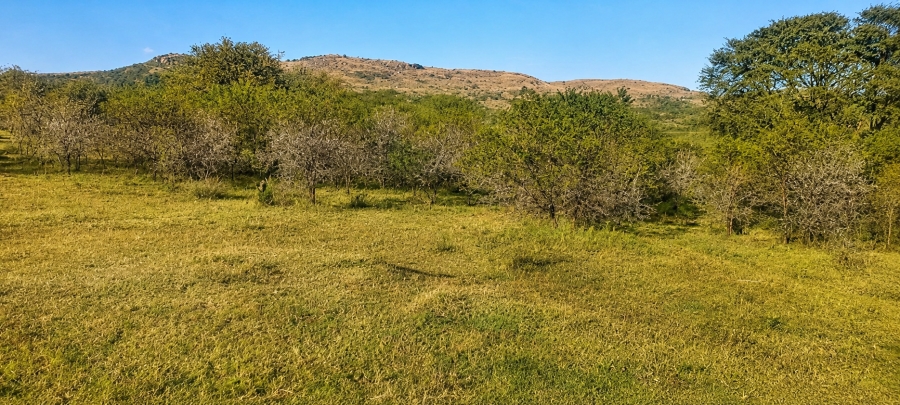 0 Bedroom Property for Sale in Blesboklaagte Gauteng