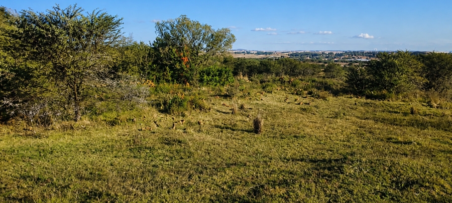 0 Bedroom Property for Sale in Blesboklaagte Gauteng
