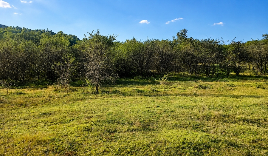 0 Bedroom Property for Sale in Blesboklaagte Gauteng