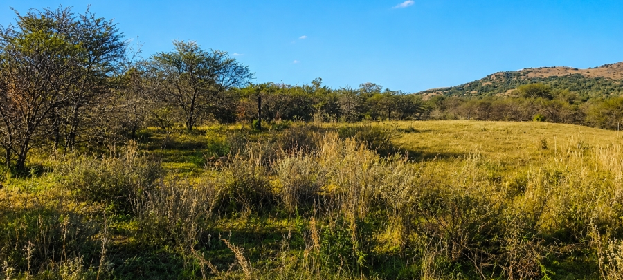 0 Bedroom Property for Sale in Blesboklaagte Gauteng