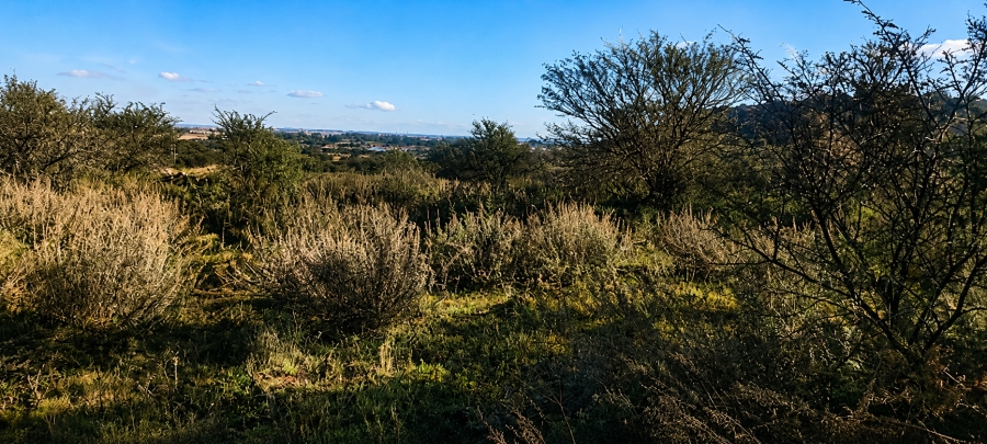 0 Bedroom Property for Sale in Blesboklaagte Gauteng