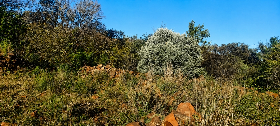 0 Bedroom Property for Sale in Blesboklaagte Gauteng