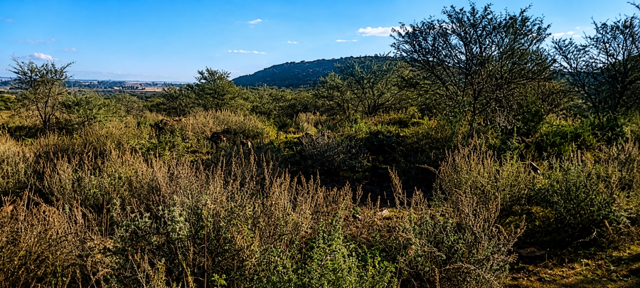 0 Bedroom Property for Sale in Blesboklaagte Gauteng