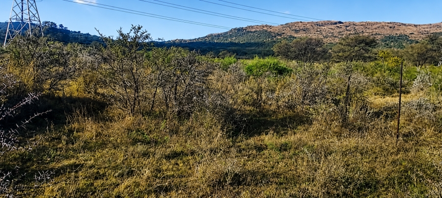 0 Bedroom Property for Sale in Blesboklaagte Gauteng