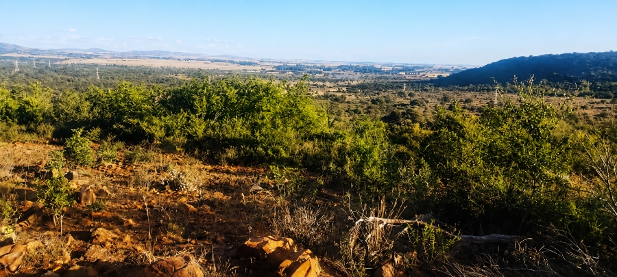 0 Bedroom Property for Sale in Blesboklaagte Gauteng