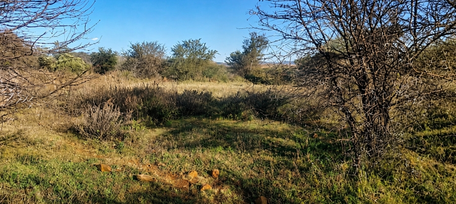 0 Bedroom Property for Sale in Blesboklaagte Gauteng