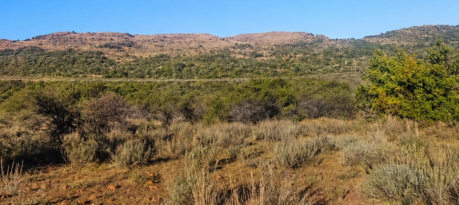 0 Bedroom Property for Sale in Blesboklaagte Gauteng