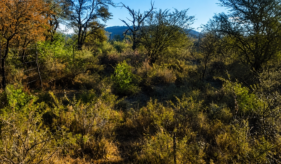 0 Bedroom Property for Sale in Blesboklaagte Gauteng