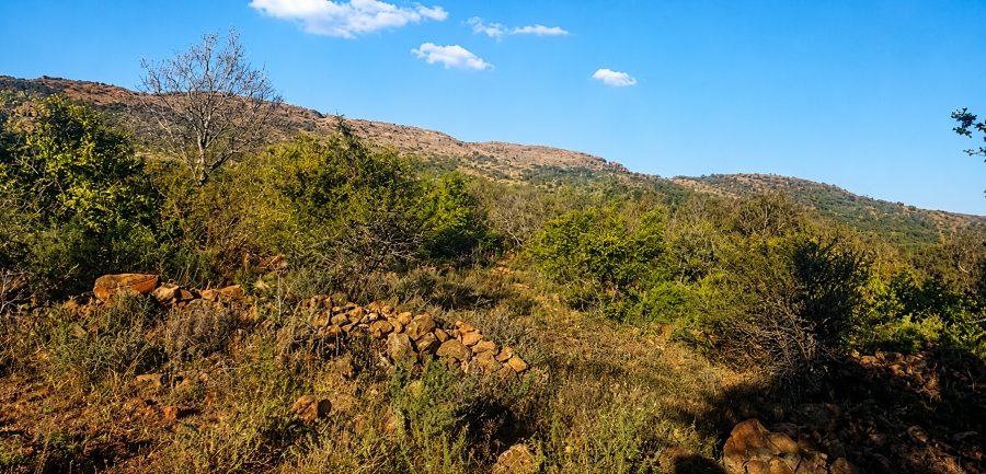 0 Bedroom Property for Sale in Blesboklaagte Gauteng