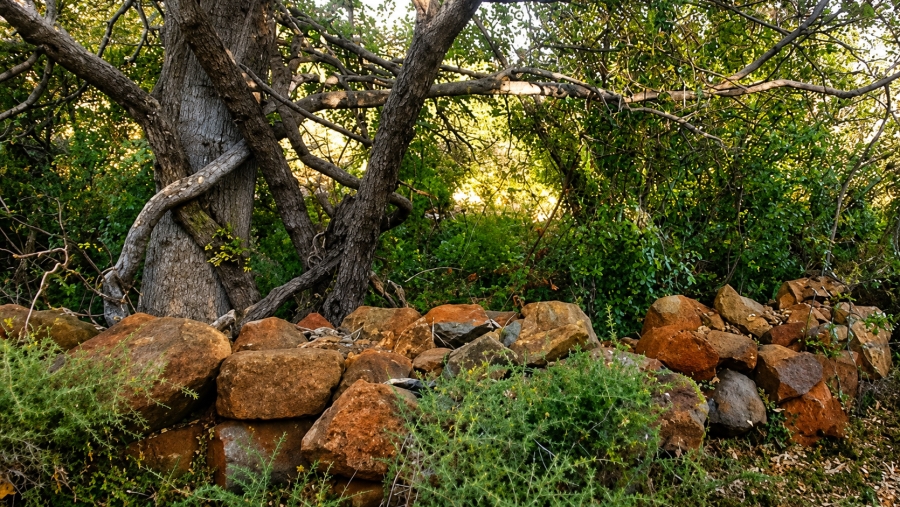 0 Bedroom Property for Sale in Blesboklaagte Gauteng