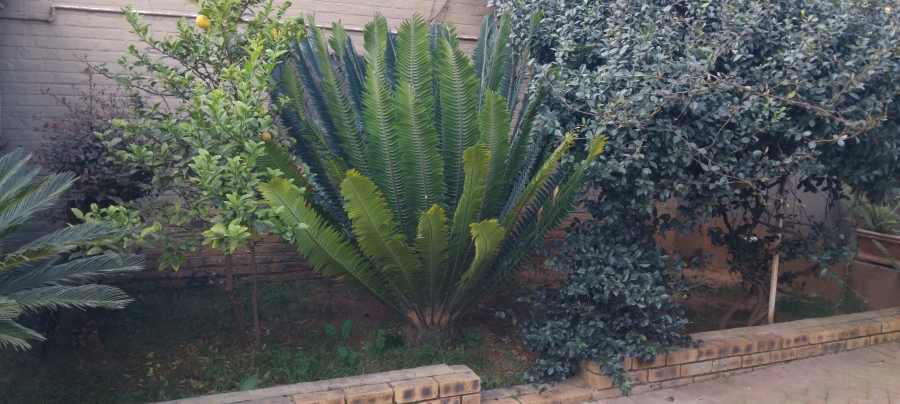 6 Bedroom Property for Sale in Lewisham Gauteng