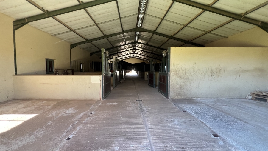 4 Bedroom Property for Sale in Tarlton Gauteng