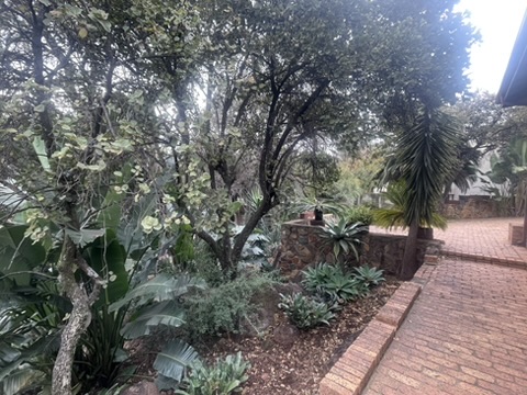 4 Bedroom Property for Sale in Bassonia Gauteng